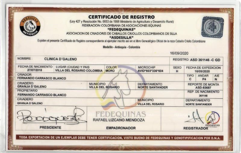 CLÍNICA D'GALENO — foto
