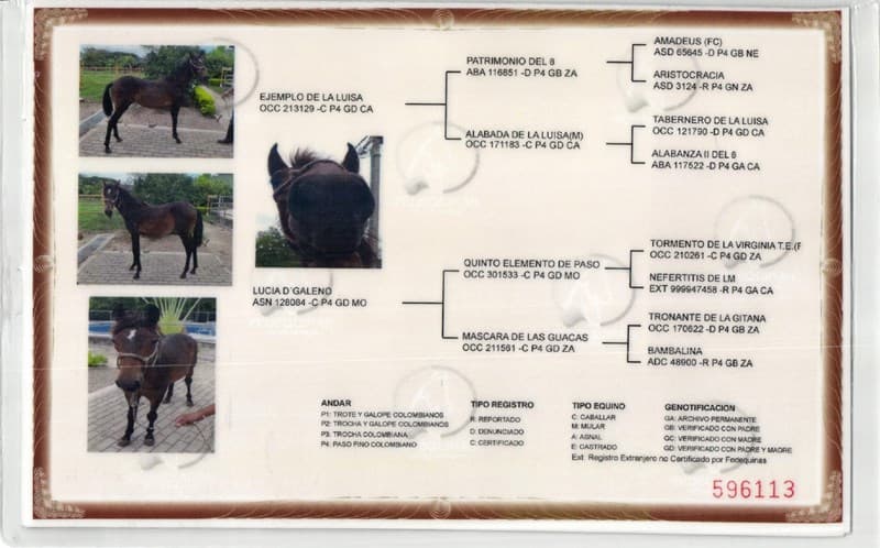 ACREDITACIÓN D'GALENO — foto