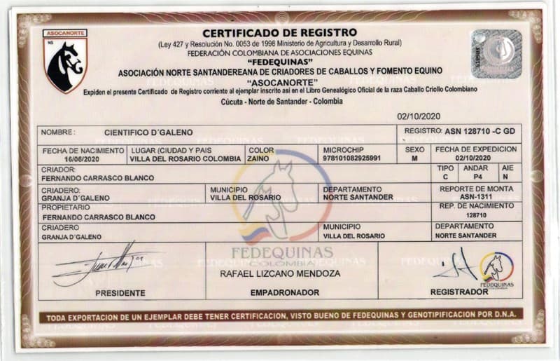 CIENTÍFICO D'GALENO — foto