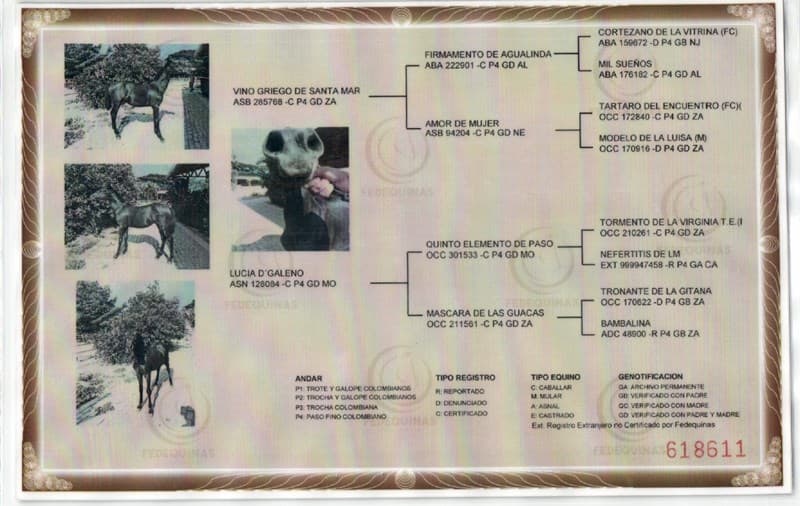 MORITA D'GALENO — foto