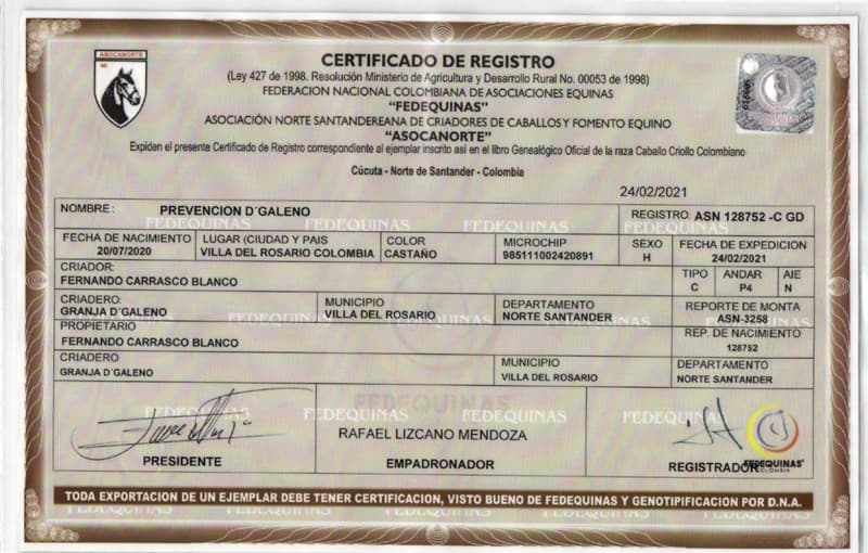 RECEPTORA PREVENCIÓN D'GALENO — foto