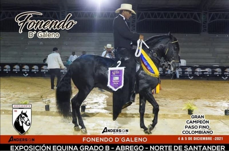 FONENDO D'GALENO