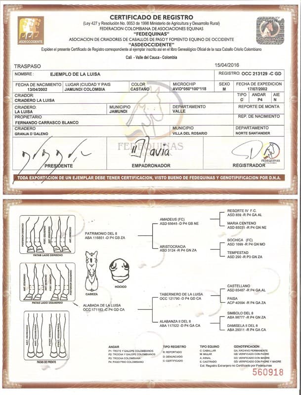 EJEMPLO DE LA LUISA — foto