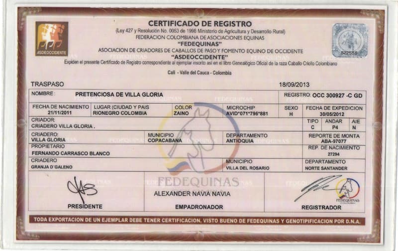 PRETENCIOSA DE VILLA GLORIA — foto
