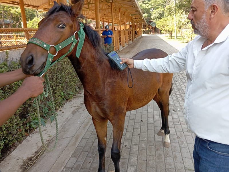 TENSIÓMETRO D'GALENO — foto