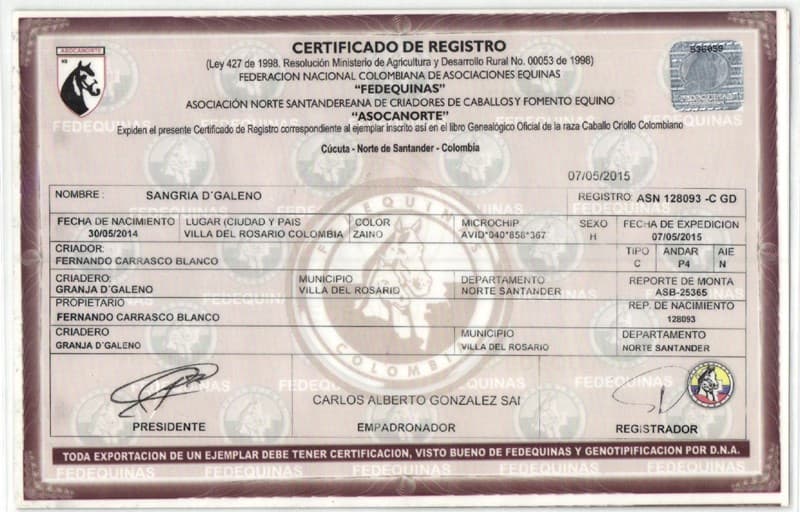 SANGRIA D'GALENO — foto